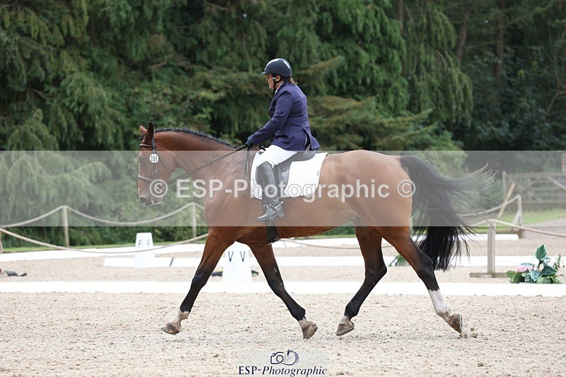 230812-120557-03929 - Cls 5 Novice Bronze 11.15 to 12.50 break