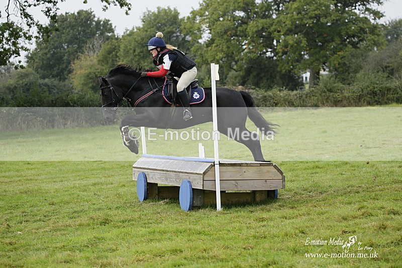  WWHT 171021 0941 - Open Novice (0.80m)  17/10/21