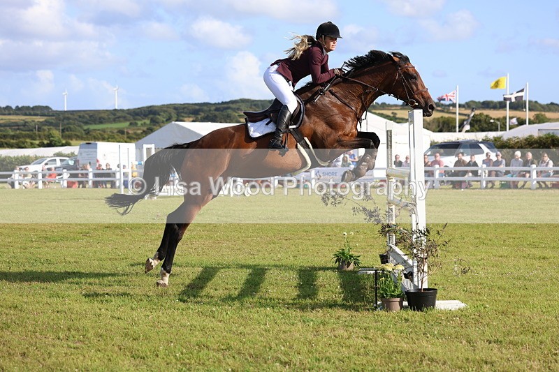 3E7A4452 - Class C: Showjumping Senior Foxhunter