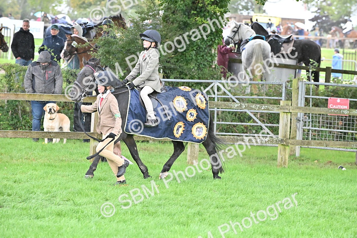 SBM_43001 - S12 - Family Horse & Pony