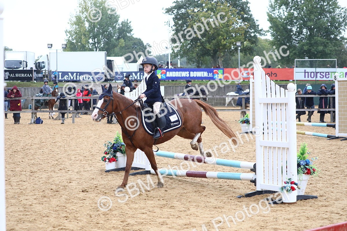 SBM_71558 - J4 - Mini Tour Junior Pony 45cm Championship