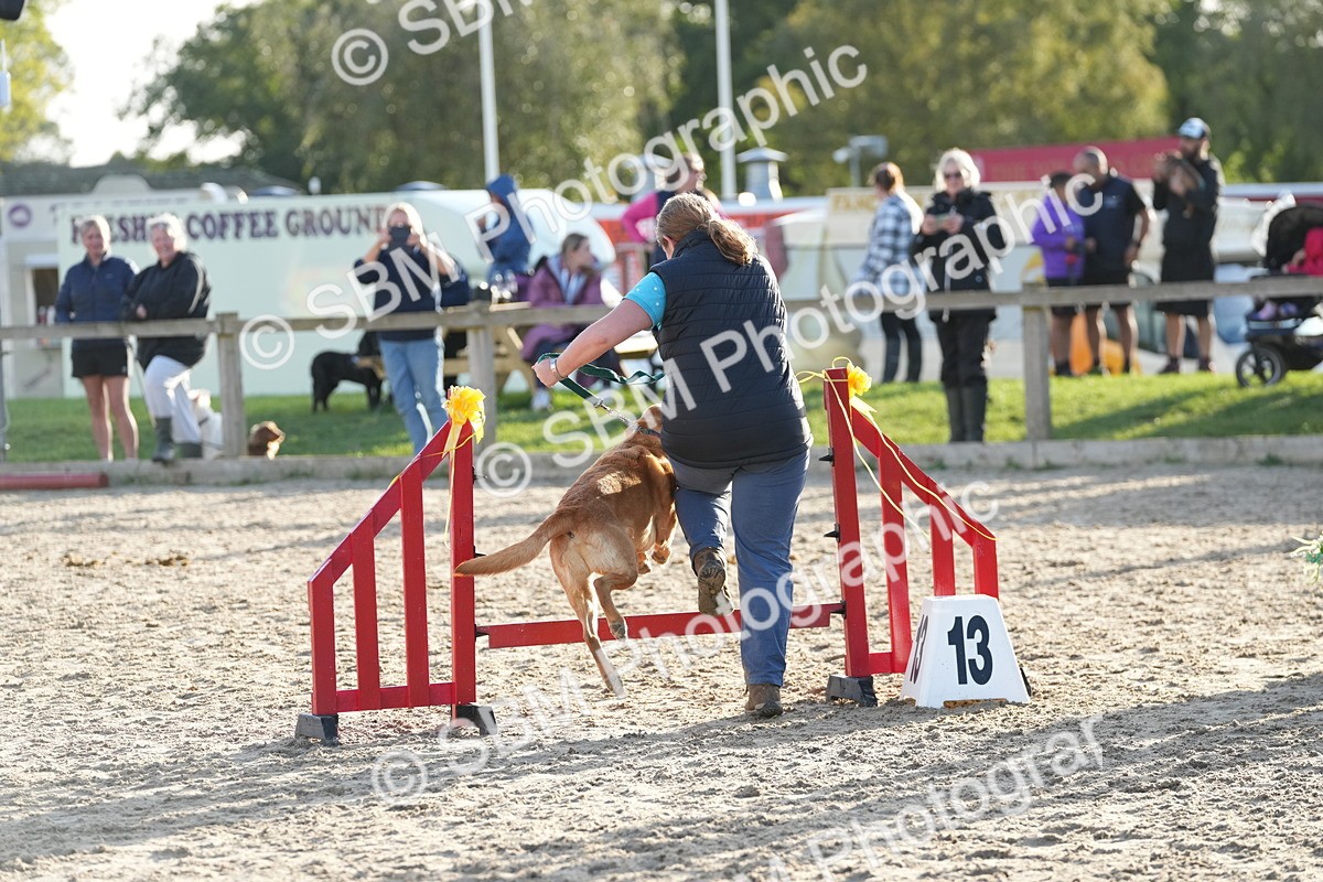 SBM_29399 - J44 - Horse & Hound Open 70cm