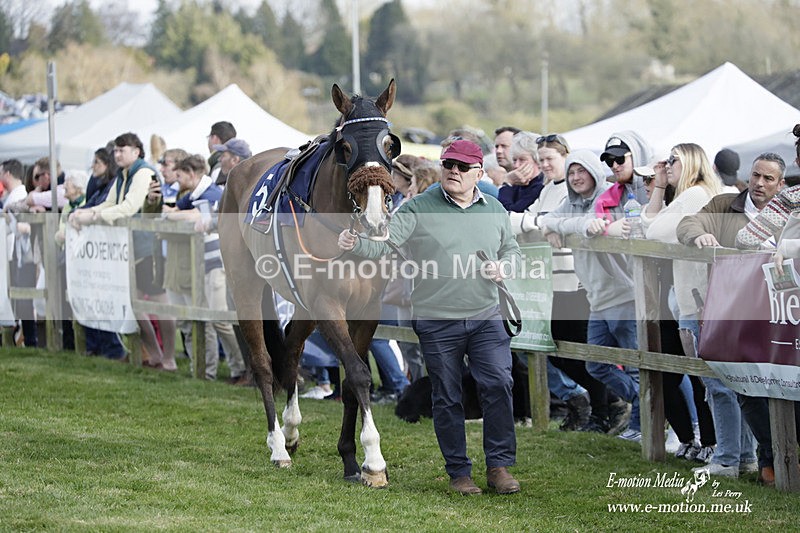 PtP 080423 473 - Dingley Races The Woodland Pytchley Hunt PtP 08/04/23