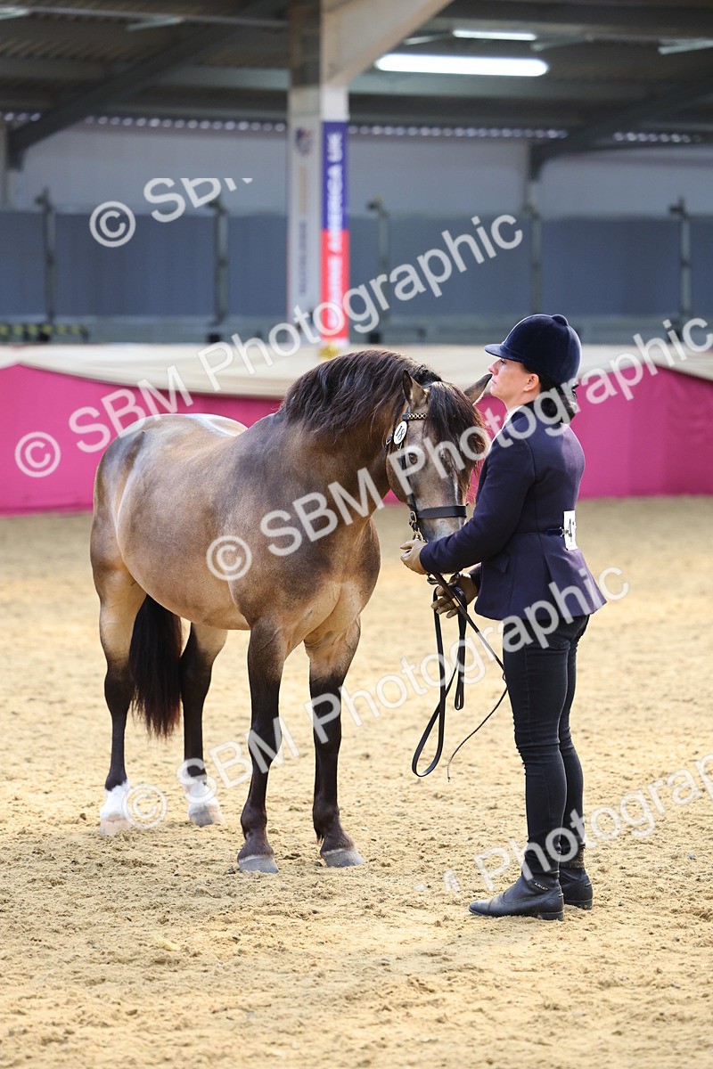 SBM_23245 - Supreme Final - IH Champion