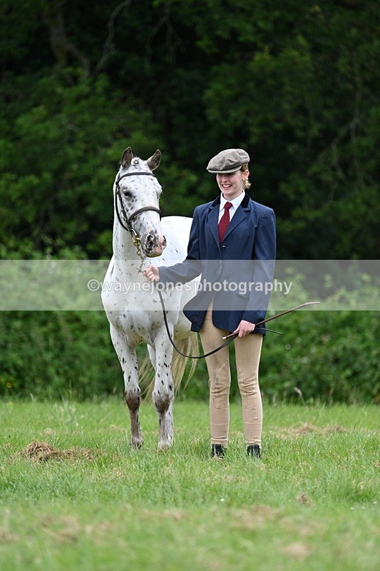 WJ7_4430 - Class 14B Prettiest Mare
