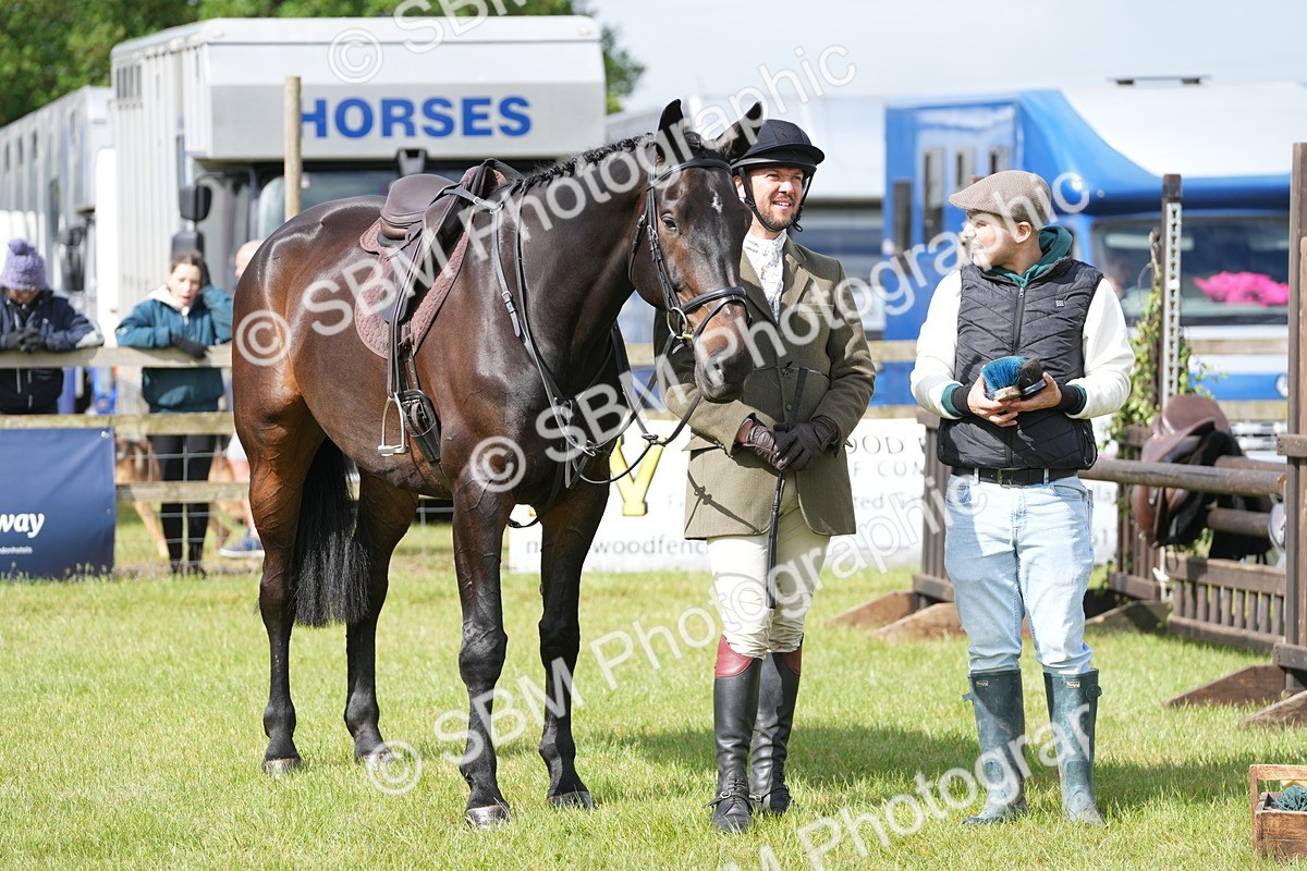 SBM_12764 - Class 97-98 - LIHS BSHA Rising Star Working Show Horse Hunter