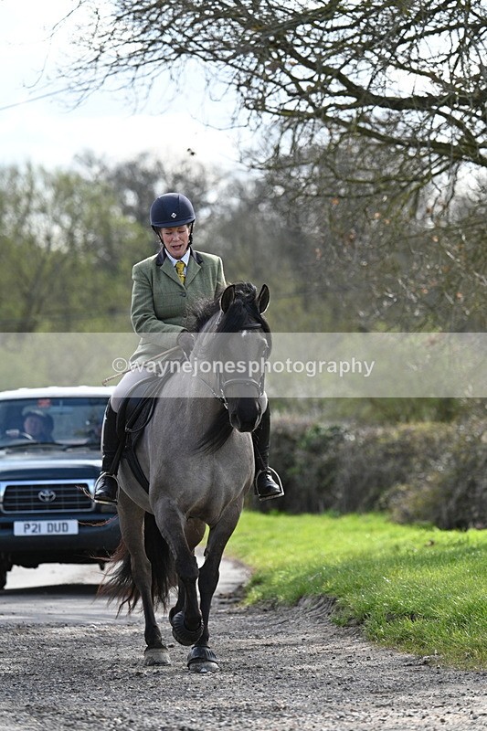 WJ7_9951 - Walk Home