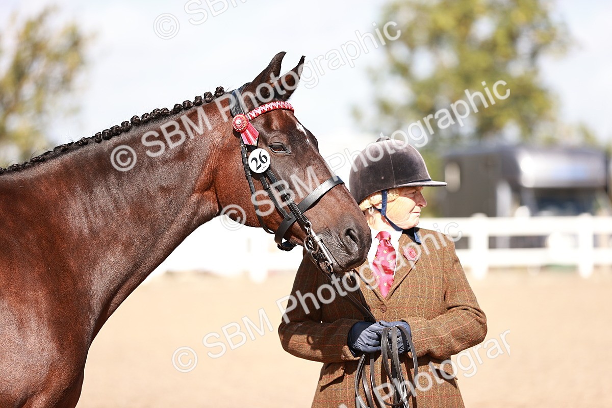 SBM_22809 - Class 705 - IH Combination 65+