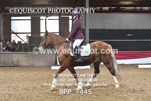 BPP_7445 - INTRO TEST 1