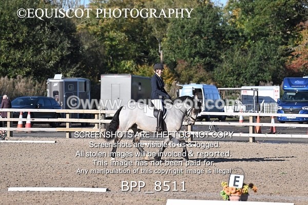 BPP_8511 - SHORT ARENA