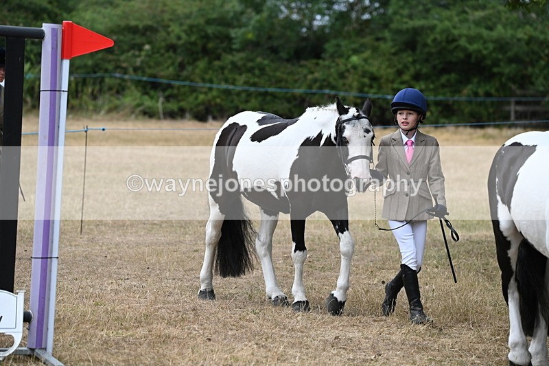 WJ6_7922 - Class 10 Coloured in Hand