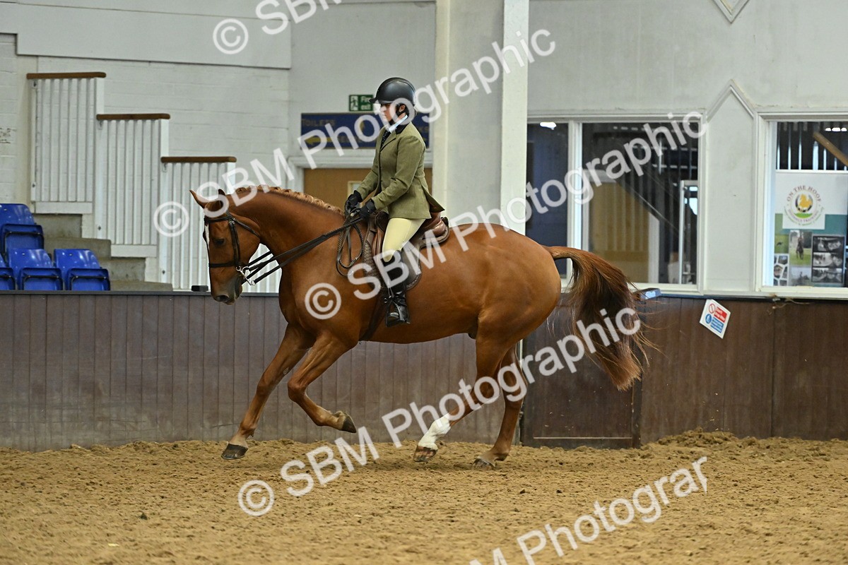 SBM_002089 - Class 23 - BSHA Ridden Show Hunter