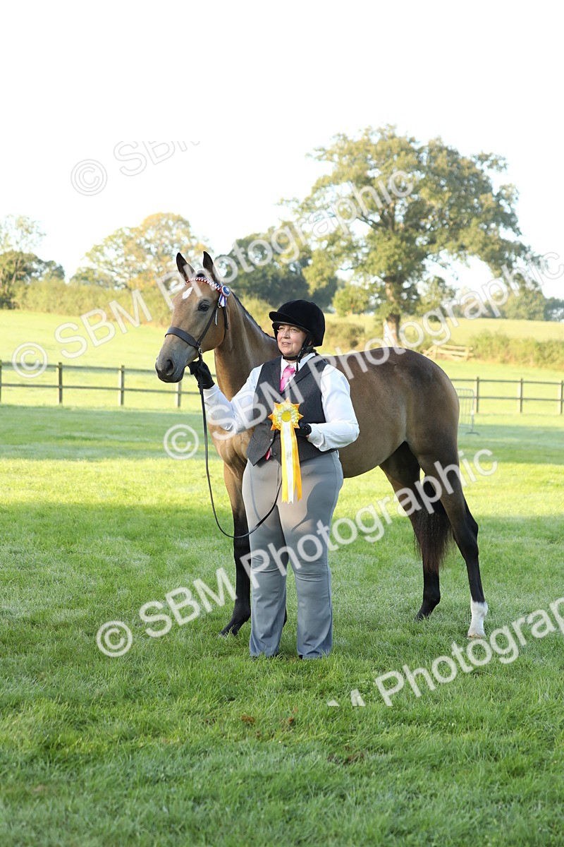 SBM_57894 - S42 - Youngstock