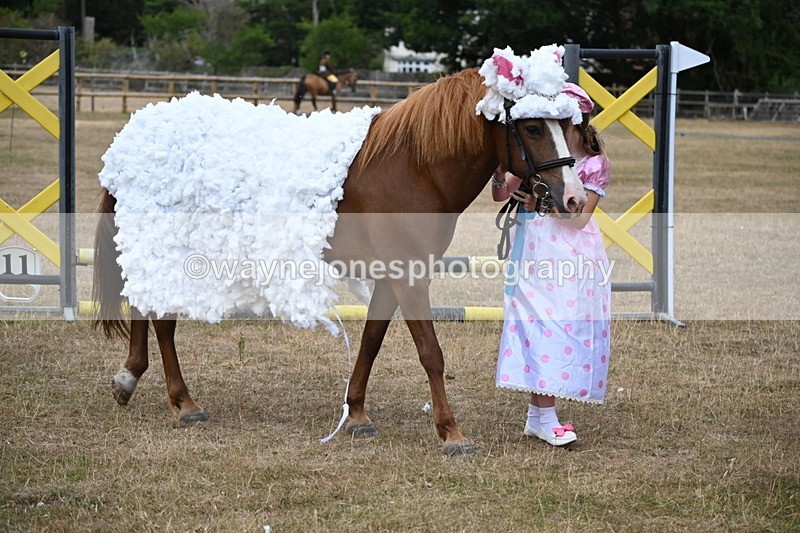 WJ6_8709 - Class 11 Fancy Dress