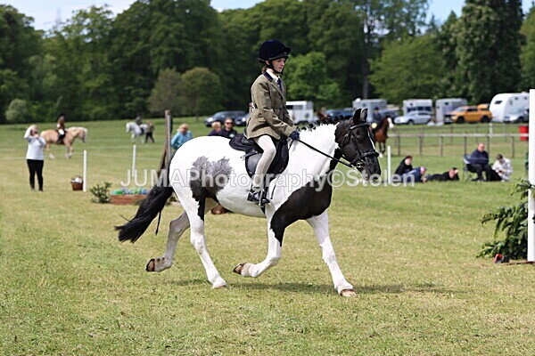 IMG_3362 - Working Hunter
