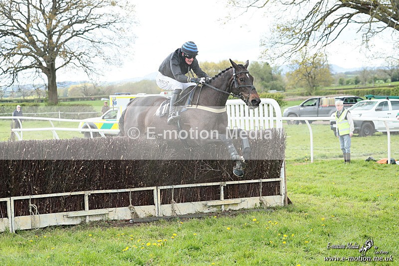 PtP 180426 568 - Worcestershire Hunt PtP Chaddesley Corbett 18/04/26