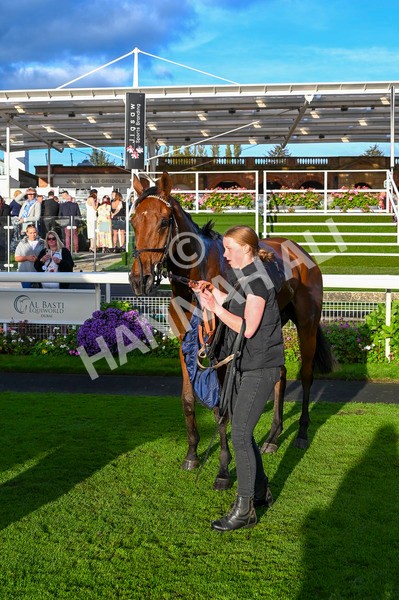 230923-Race 7-Two Brothers-3878 - Race 7 5.30pm Neil Atkinson's 60th Birthday Celebration Handicap