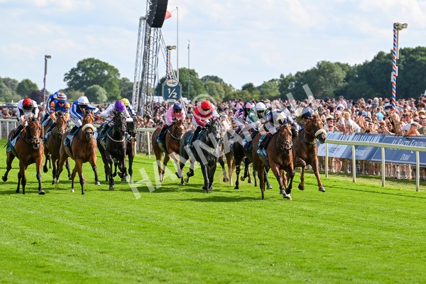 280625-Race 6-Dream Out Loud-0934 - Race 6 4.50pm Al Basti Equiworld Dubai Sprint Handicap