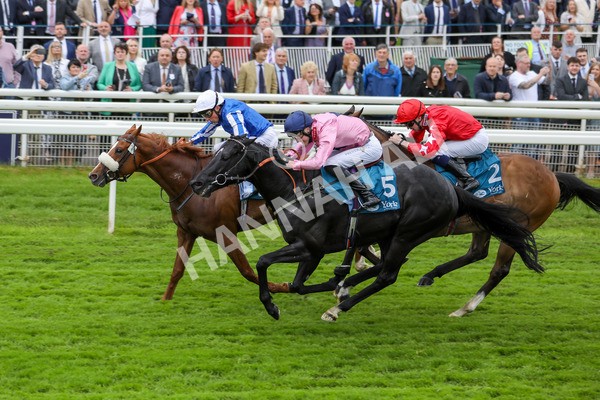 190523-Race 3-Marhaba The Champ-7759 - Race 3 3.00pm Knights Solicitors Handicap
