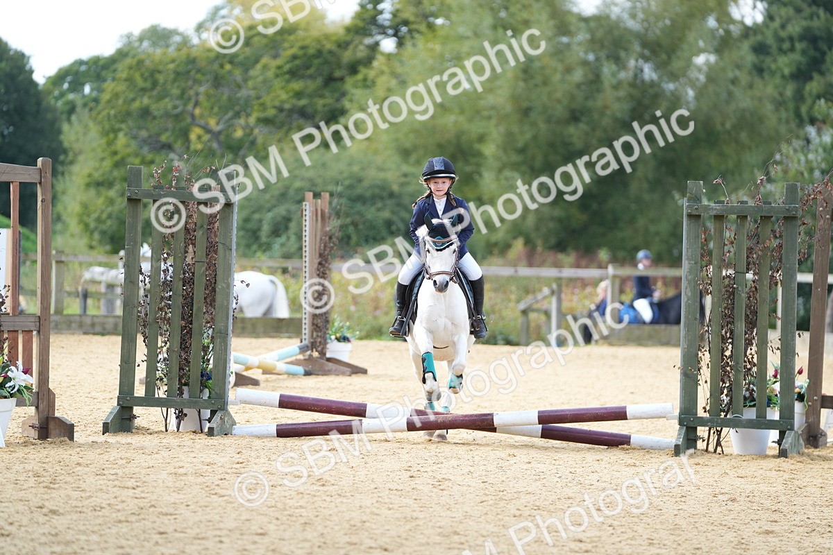 SBM_64486 - J2 - Mini Tour Junior Pony 30cm Championship