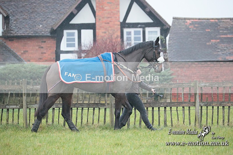 PtP 031223 15 - Wheatland Hunt PtP Chaddesley Races 03/12/23