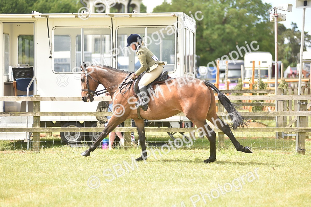 SBM_15094 - Class 113-114 - Retraining of Racehorses Ridden