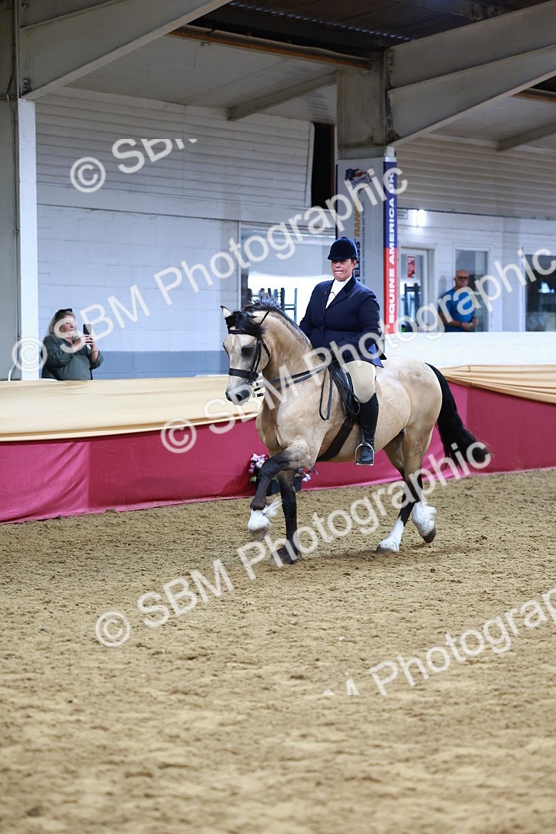 SBM_23438 - class 906 - Supreme Final - Ridden Pre Vet