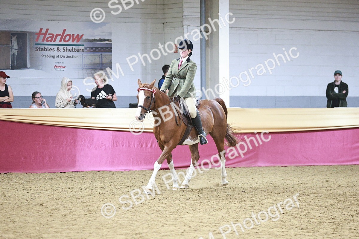 SBM_08135 - Class 11R - Regional Ridden Veteran