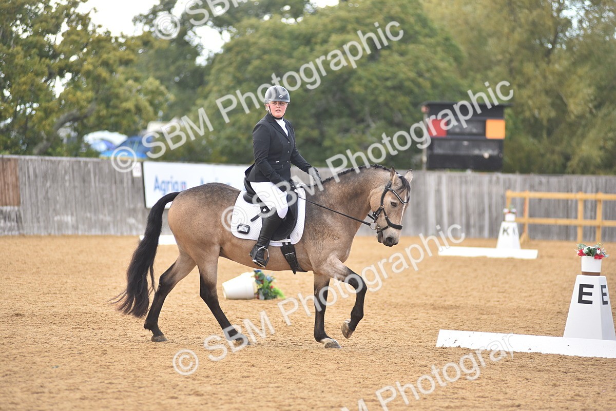 SBM_11344 - D15 - Small Tour Championship Novice 1