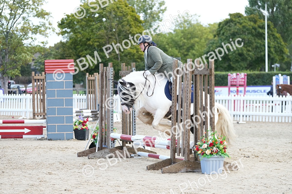 SBM_21181 - J49 - Open 50cm