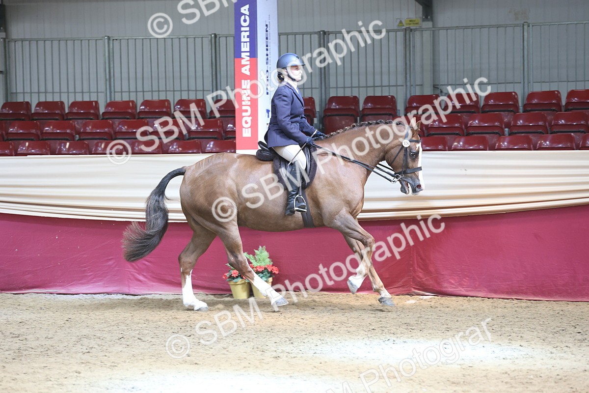 SBM_23749 - class 906 - Supreme Final - Ridden Pre Vet