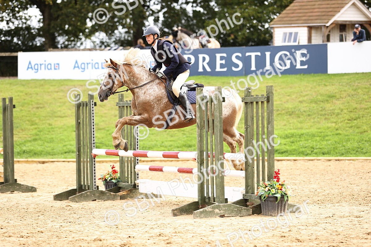SBM_41198 - J40 Senior Horse & Pony 90cm Supreme Championship