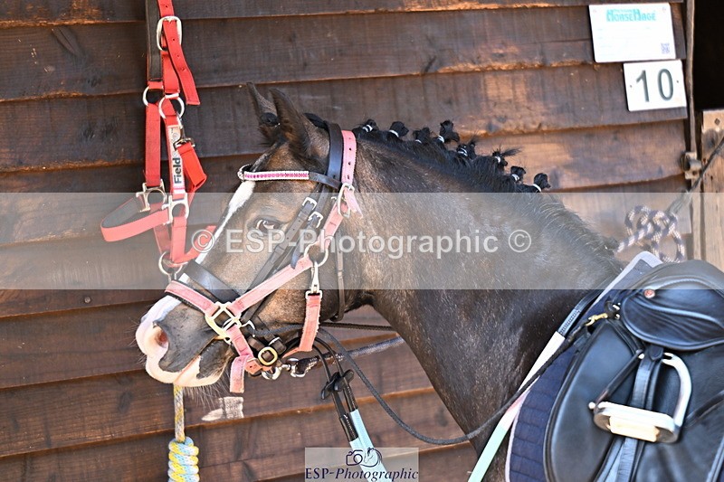 240729B-094804-01814 - Monday Stable Shots