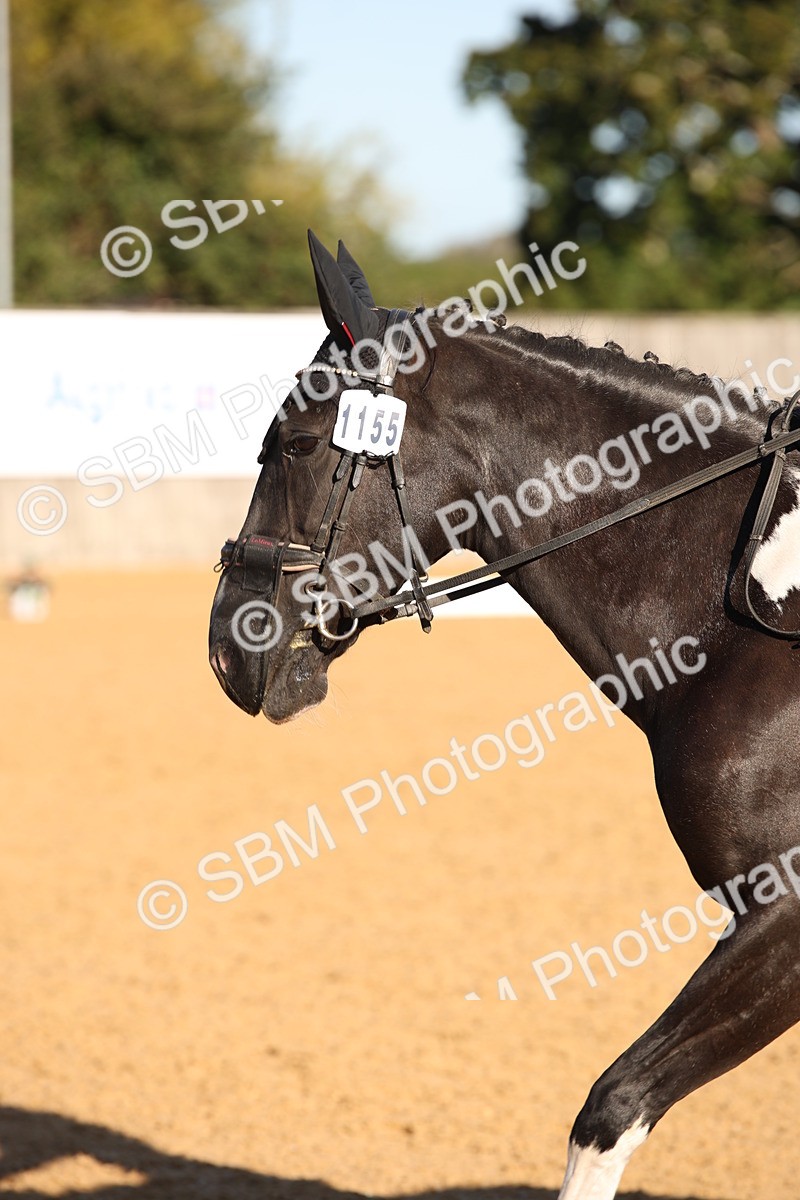 SBM_01797 - D2 Small Tour Championship Intro C