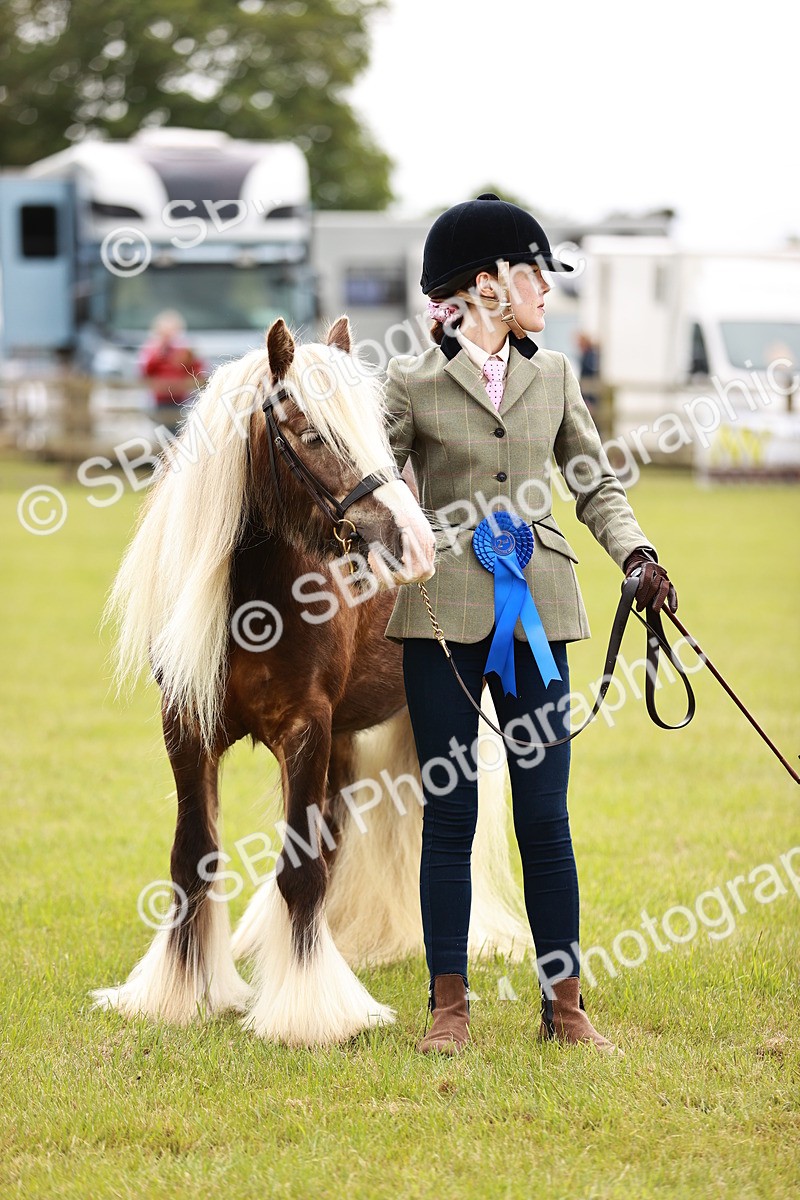 SBM_06077 - Class 39-41 TGCA In Hand and Ridden