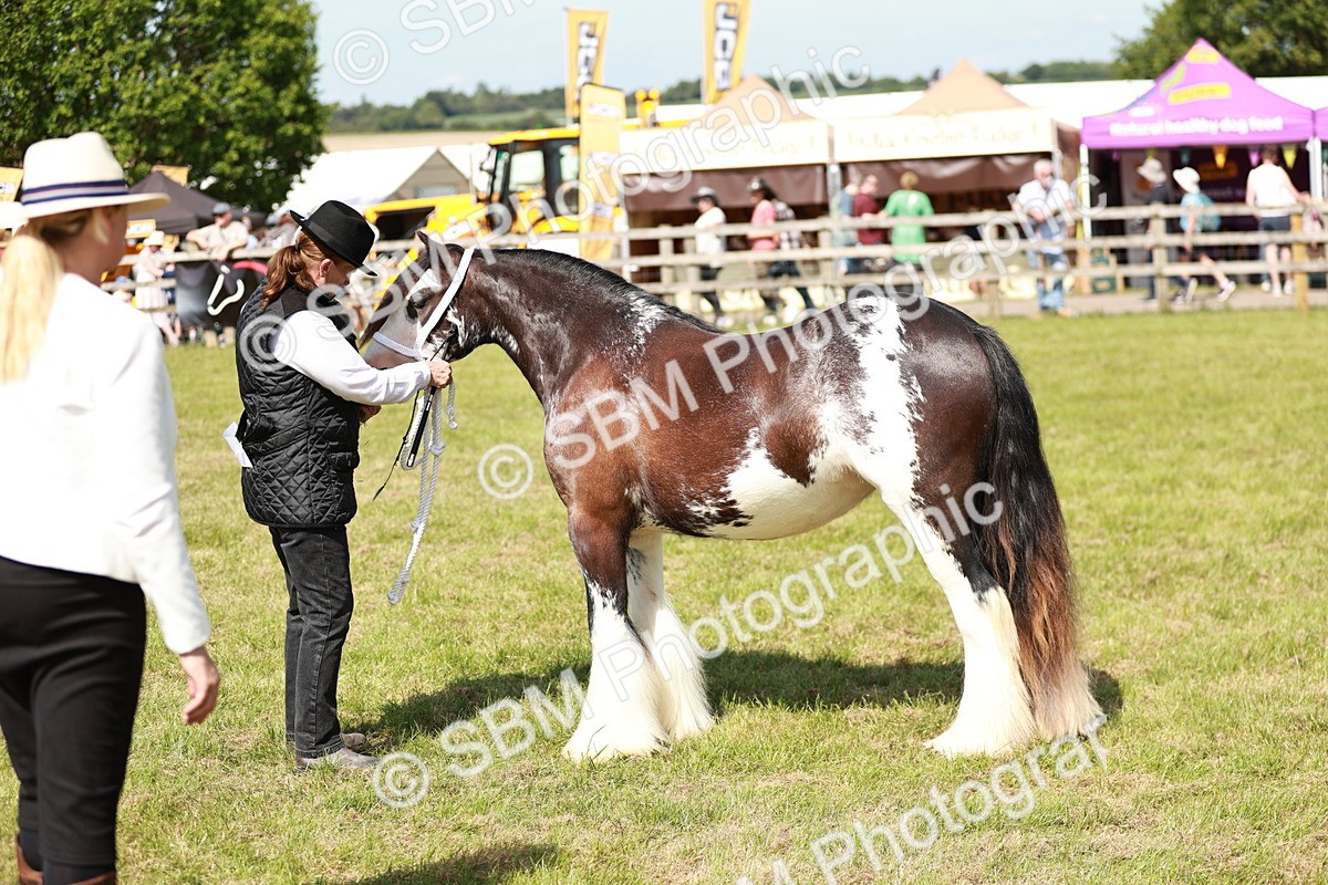 SBM_08598