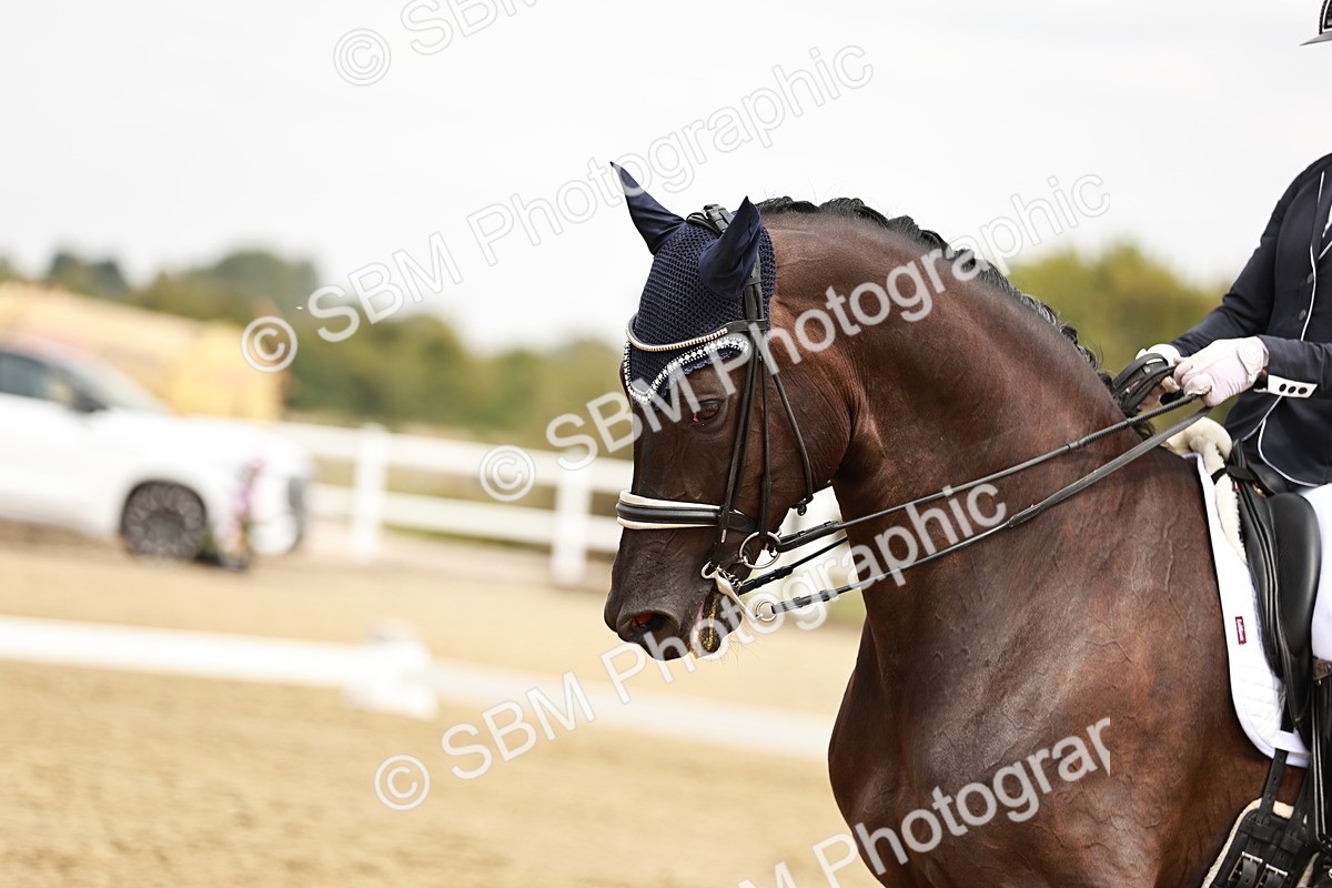 SBM_003755 - Class 7 - Advanced Medium 6 Gold - 13.16-14.36
