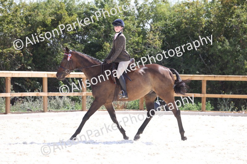20260802-0758 - Class 8 - Best Riding Horse or Pony