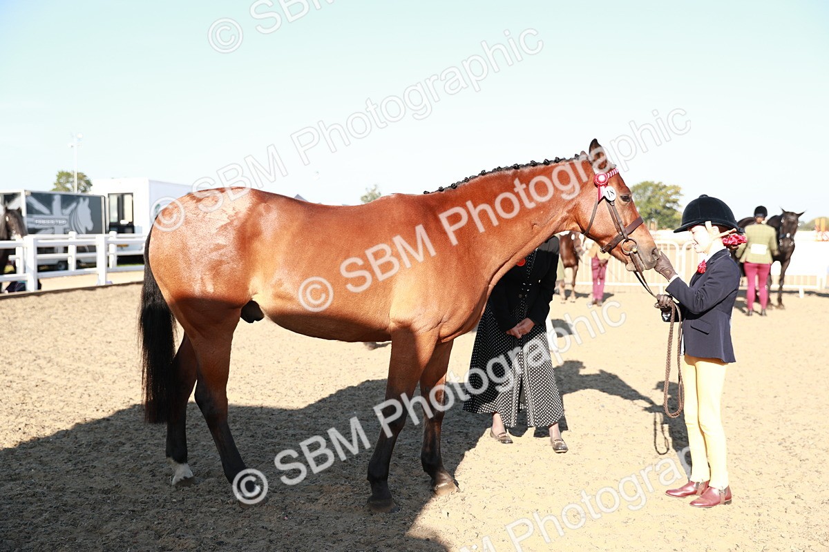 SBM_00076 - Class 40 Best Turned Out IH
