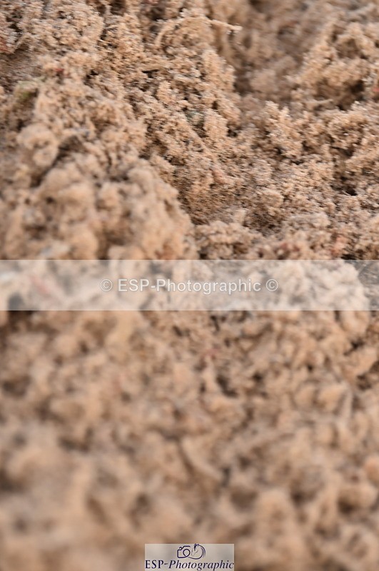 231122A-100732-00011 - Cls 1 British Novice & 90cm Open