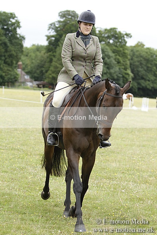 BVR160717-958 - Ring 3 BVRC Show 16/07/17