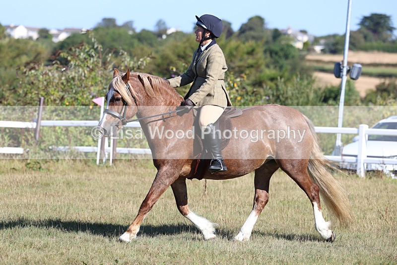 3E7A5432 - Class 3: Working Hunter 70cm