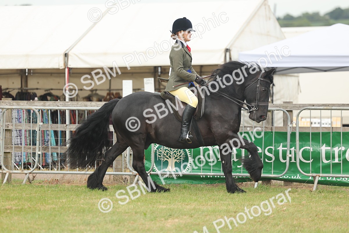 SBM_09114 - Class 78-80 - Ridden M&M Non Welsh Ponies