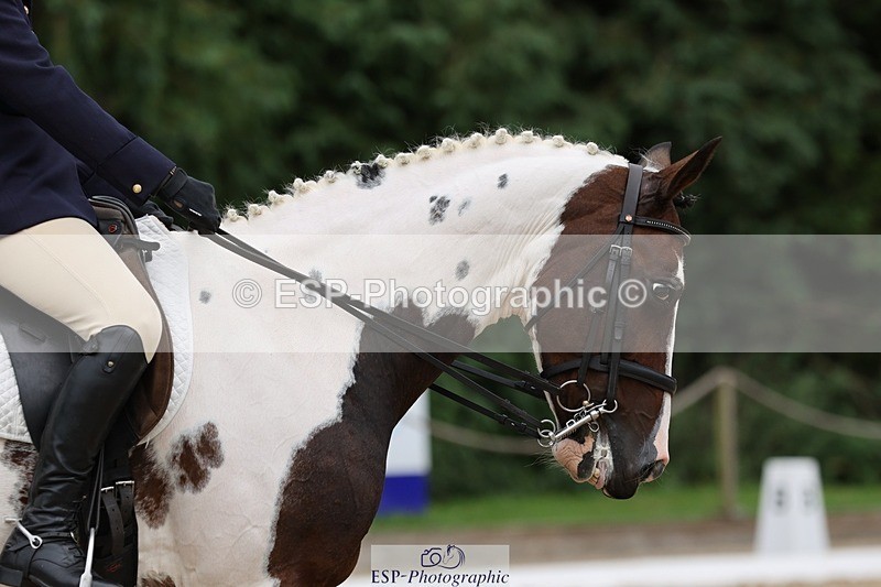 240810-161302-04174 - 155-Debbie.Squires-Mystic.Spirit