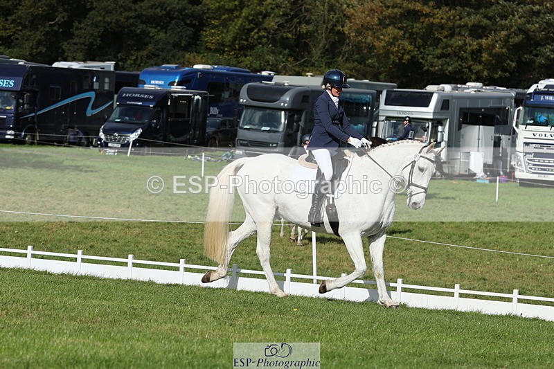 251024A-133020-12588 - H-651-Victoria.Tar