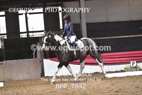 BPP_7842 - ELEM TEST 6