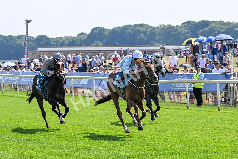 100726-Race 3-Betty Boop-9937 - Race 3 15.20pm Irish Thoroughbred Marketing EBF Fillies' Novice Stakes