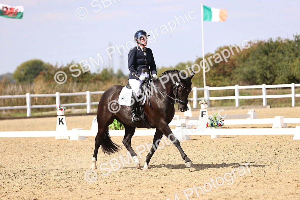 SBM_015051 - Class 6 - Elementary 5