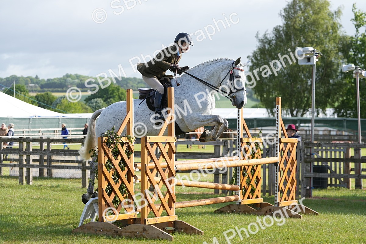 SBM_10560 - Class 97-98 - LIHS BSHA Rising Star Working Show Horse Hunter