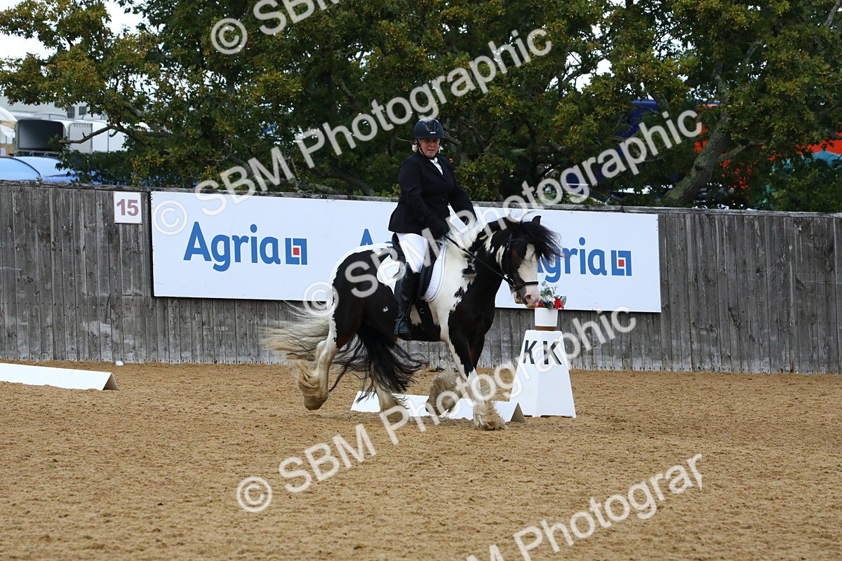 SBM_21031 - D5 - Small Tour Championshop Intro 2